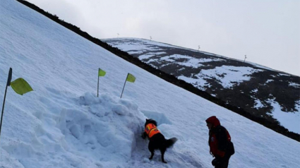 Illustration : (Vidéo) Victime d'une avalanche, il filme sous la neige son sauvetage par un chien !