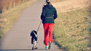 Illustration : 7 manières amusantes de faire du sport avec votre chien