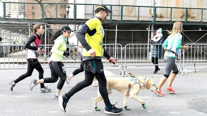 Illustration : Grâce à ses 3 chiens, il devient le premier aveugle à finir un semi-marathon sans guide humain