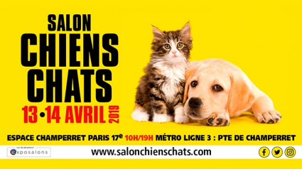 Illustration : La 8e édition du salon Chiens Chats s'apprête à vous accueillir les 13 et 14 avril