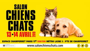 Illustration : La 8e édition du salon Chiens Chats s'apprête à vous accueillir les 13 et 14 avril