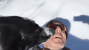 Illustration : (Vidéo) Le retour en enfance de cet homme en pleine promenade avec son chien