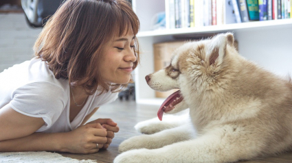 Illustration : Les propriétaires de chiens seraient plus heureux que ceux de chats