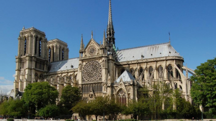 Illustration : Notre-Dame de Paris, après l'incendie, les pompiers sauvent un chien de la noyade