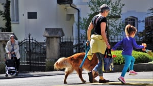 Illustration : Le classement 2019 de ces villes, en France, où il fait bon vivre pour les chiens