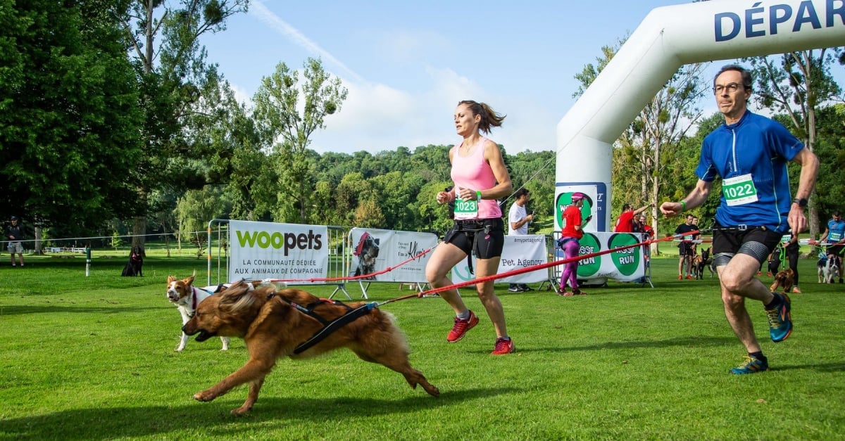 La Woof Run revient le 30 mai pour une seconde édition encore plus