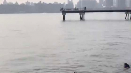 Illustration : (Vidéo) Un homme n’hésite pas à plonger dans l’East River pour sauver un chien au bord de la noyade