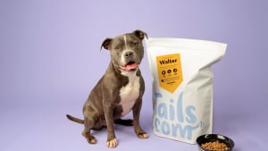 Illustration : Tails.com, le service de livraison d'alimentation personnalisée pour chien débarque en France