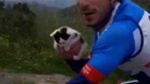 Illustration : Un coureur cycliste s’arrête en plein entraînement pour sauver un chaton