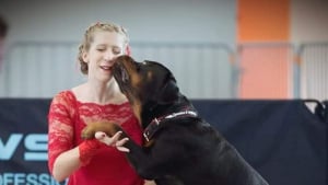 Illustration : Elle danse avec un Rottweiler pour faire tomber les préjugés