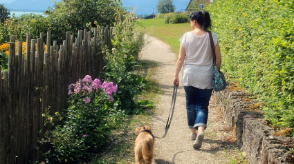 Illustration : Il reproche à une femme l’éducation de son chien et agresse un individu en pleine rue