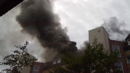 Illustration : Les pompiers interviennent et sauvent un chien d’un appartement en flammes ! 