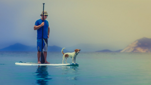 Illustration : Il envisage de traverser la France en paddle avec sa chienne