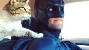 Illustration : Déguisé en Batman, il sauve de l'euthanasie les chiens et chats des refuges