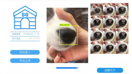 Illustration : En Chine, la reconnaissance faciale bientôt appliquée aux chiens pour identifier les mauvais propriétaires ?