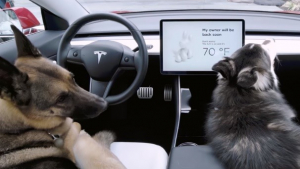 Illustration : Tesla revoit son système Dog Mode, dédié aux chiens laissés dans les voitures