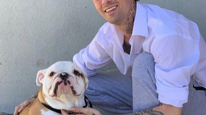 Illustration : Le chanteur américain Aaron Carter crée la polémique en voulant vendre 3000€ un Bouledogue Anglais tout juste adopté ! 