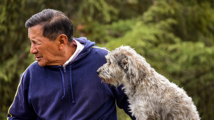 Illustration : La science le confirme, la ressemblance entre les chiens et leur maître est un fait avéré !