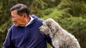 Illustration : La science le confirme, la ressemblance entre les chiens et leur maître est un fait avéré !