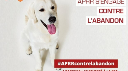 Illustration : L’APRR soutient la SPA avec sa campagne contre l’abandon d’animaux