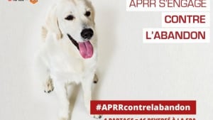 Illustration : L’APRR soutient la SPA avec sa campagne contre l’abandon d’animaux