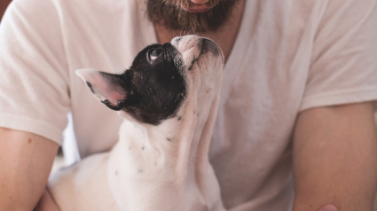 Illustration : Selon cette étude, les propriétaires de chiens vivraient plus longtemps que les gens sans animaux !