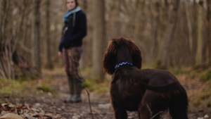 Illustration : 3 kilomètres, 34 minutes en moyenne, une étude confirme les bienfaits de balader son chien