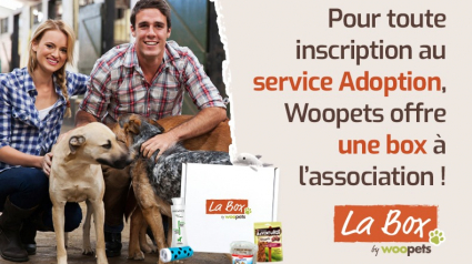 Illustration : Des box surprises offertes aux associations inscrivant leurs animaux à adopter chez Woopets