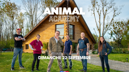 Illustration : Bientôt le premier épisode d’Animal Academy, émission consacrée aux animaux de compagnie ingérables