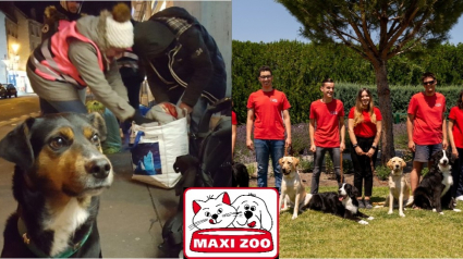 Illustration : Maxi Zoo lance 2 campagnes solidaires en faveur des animaux et leurs propriétaires