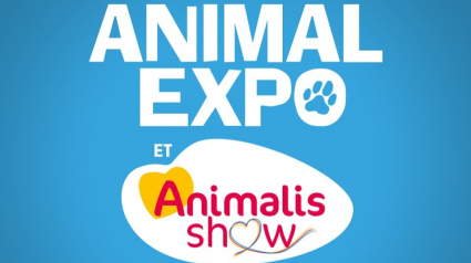 Illustration : Animal Expo : riche programme pour cette édition 2019