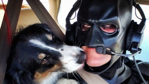 Illustration : Quand Batman vole au secours des chiens et chats condamnés