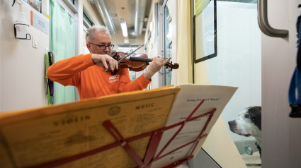 Illustration : Ce violoniste joue pour les chiens d’un refuge, qui se détendent dès les premières notes