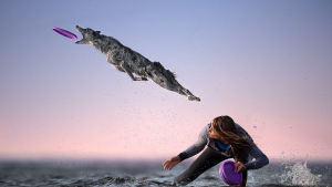 Illustration : 10 photos incroyables de chiens acrobates attrapant un frisbee en plein vol !