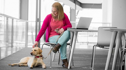 Illustration : Et si vous emmeniez votre chien ou chat au travail grâce à l'alliance Pets at Work de Purina ?