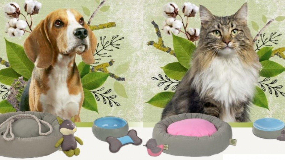 Naturally Good : des accessoires pour chiens et chats éco-responsables