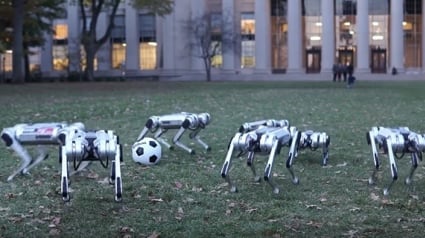 Illustration : Quand les robots chiens du MIT s’amusent avec un ballon de football (vidéo)