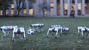 Illustration : Quand les robots chiens du MIT s’amusent avec un ballon de football (vidéo)