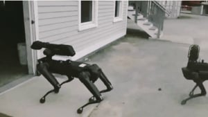 Illustration : La police américaine utilise de nouveaux robots pour combattre le crime et ce sont des chiens ! 