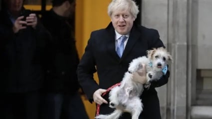 Illustration : Les chats et chiens s’invitent dans les bureaux de vote au Royaume-Uni