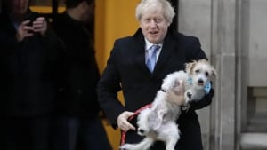 Illustration : Les chats et chiens s’invitent dans les bureaux de vote au Royaume-Uni