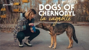 Illustration : L’influenceuse Léa Camilleri au secours des chiens abattus en masse de Tchernobyl 