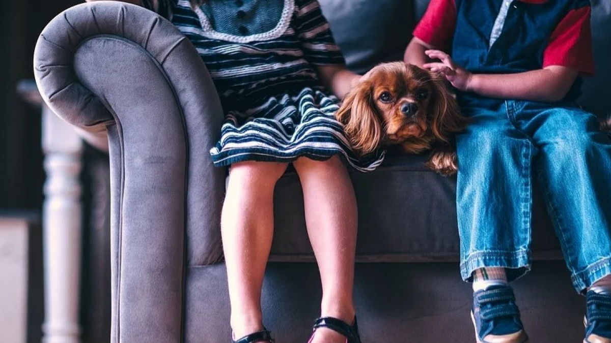 Illustration : "Avoir un chien durant son enfance réduirait le risque d’être atteint de schizophrénie"