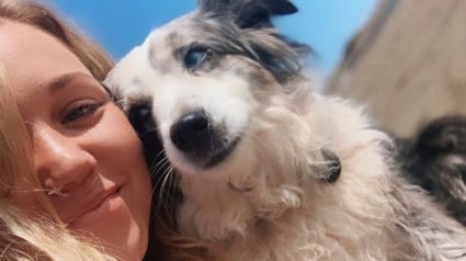 Illustration : Une femme loue un avion et promet une belle récompense pour retrouver son chien volé