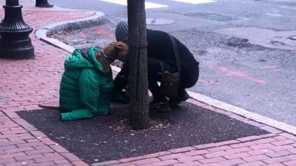 Illustration : Ne pouvant faire entrer son chien, elle le couvre avec sa veste pour qu’il reste au chaud