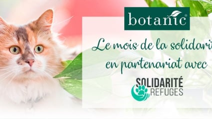 Illustration : Botanic lance le Mois de la Solidarité pour les animaux vivant dans les refuges