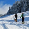 Illustration : Voyager avec son chien à la montagne en hiver