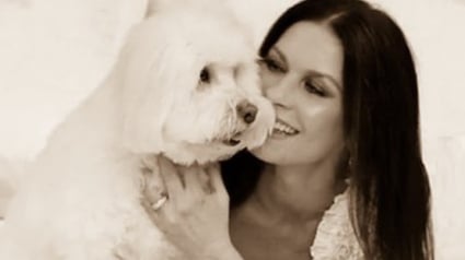 Illustration : Catherine Zeta-Jones pleure son chien et lui rend un émouvant hommage