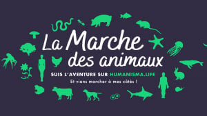 Illustration : Pour faire évoluer le droit animal en France, elle parcourt 2500 km à pied 