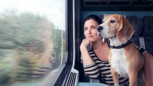 Illustration : Chats et chiens autorisés dans les transports en commun toulousains ? C’est la proposition du Parti Animaliste, candidat aux municipales